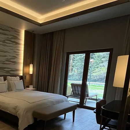ホテル Swissotel Uludag