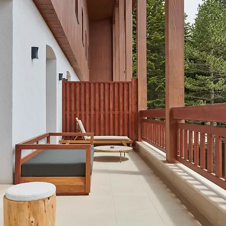 호텔 Swissotel Uludag 부루사