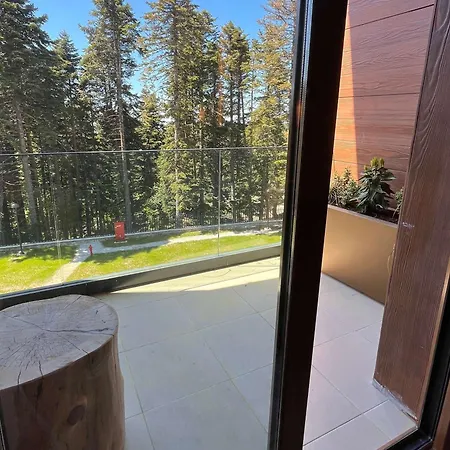 Hotel Swissotel Uludag 5*