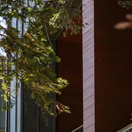 Swissotel Uludag Ξενοδοχείο