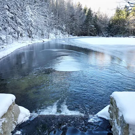 Hotel Swissotel Uludag Bursa