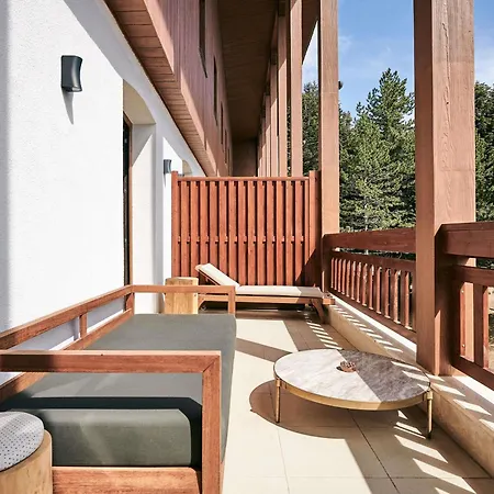 Hotel Swissotel Uludag 5*