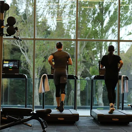 Hotel Swissotel Uludag