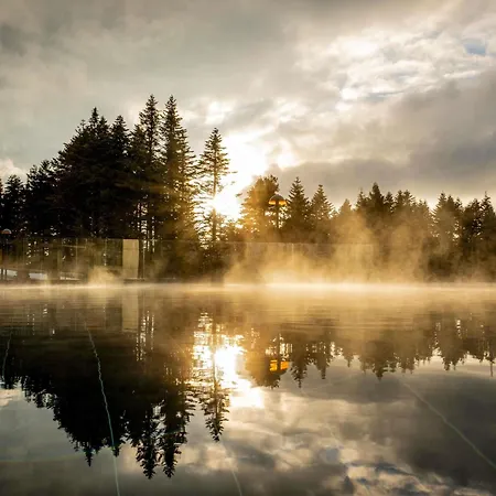 Hotel Swissotel Uludag 5*