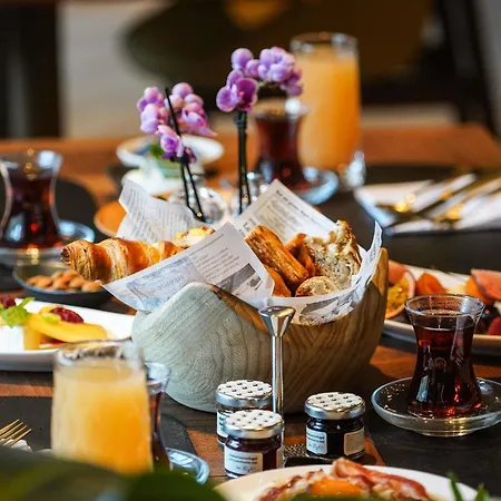 Swissotel Uludag Отель
