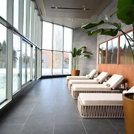 Swissotel Uludag ホテル 5*